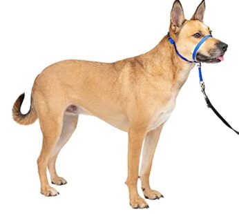 PetSafe Gentle Leader No-Pull Dog Headcollar – The Ultimate Solution to Pulling – Redirect