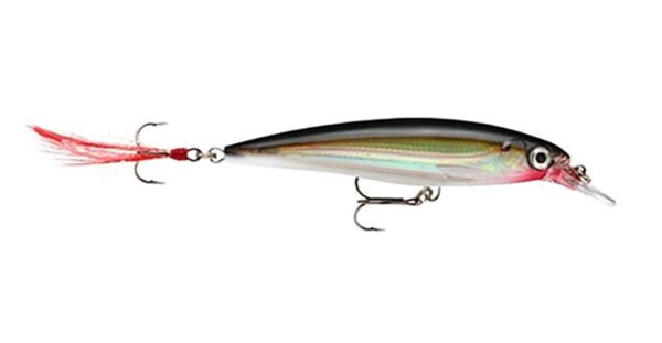Rapala X-Rap Jerkbait 10 Fishing lure (Silver , Size- 4)