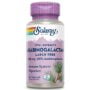 SOLARAY Arabinogalactan, Larch Tree Extract 300mg | Prebiotic Fiber for Healthy Gut & Immu