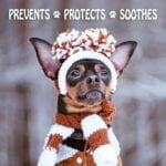 Musher's Secret Dog Paw Wax 200 g (7oz) - Moisturizing Dog Paw Balm that Creates an Invisi - Image 5