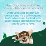 Vet?s Best Enzymatic Dog Toothpaste | Teeth Cleaning and Fresh Breath Dental Care Gel | Ve - Image 8