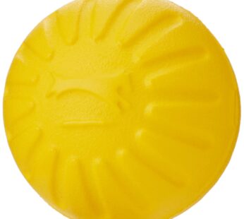 Starmark Fantastic DuraFoam Ball Tough Dog Toy, Color Varies Medium