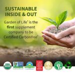 Garden of Life Perfect Food Super Green Formula - 14 Servings | 45 Superfoods, Greens, Fruit & Veggie Juice Superfood Powder Supplement, Probiotics & Organic Spirulina for Digestion & Immune Health - Image 6
