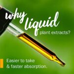 Herb Pharm Motherwort Extract 1 oz Liquid - Image 4