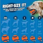 Chuckit Classic 26M Dog Ball Launcher, 26" Length, Includes Medium Ball (2.5") For Dogs 20 - Image 7