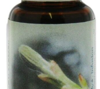 FLOWER ESSENCE SERVICES Supplement Dropper, Chestnut Bud, 0.25 Fluid Ounce