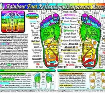 Rainbow? FOOT Reflexology/ Acupressure Massage CHART in the Inner Light Resources Rainbow?