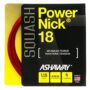 Ashaway POWERNICK 18 Squash String Set