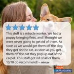 Hartz UltraGuard Plus Flea & Tick Home Spray, Kills Fleas and Ticks, Clean Fresh Scent, 16 - Image 6