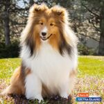 Hartz UltraGuard Plus Flea & Tick Home Spray, Kills Fleas and Ticks, Clean Fresh Scent, 16 - Image 7