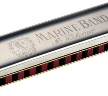 Hohner 364-D Marine Band 12 Hole Harmonica, Key of D
