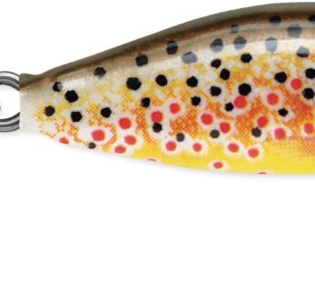 Rapala Countdown 01 Fishing lure, 1-Inch, Brown Trout