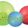 JW ISqueak Ball Durable Natural Rubber Dog Toy (Assorted Colors)