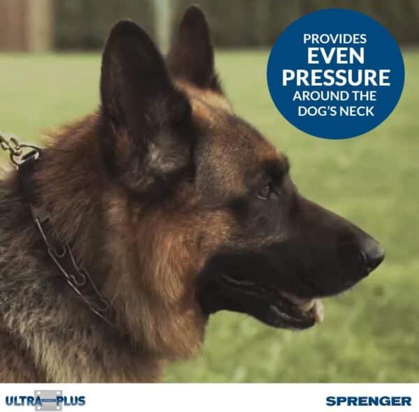 Herm Sprenger Pet Supply Imports Chrome Plated Training Collar with Quick Release Snap for - Image 4