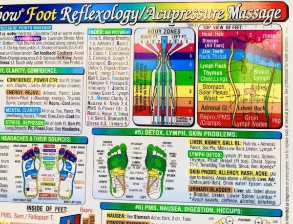 Rainbow? FOOT Reflexology/ Acupressure Massage CHART in the Inner Light Resources Rainbow? - Image 4