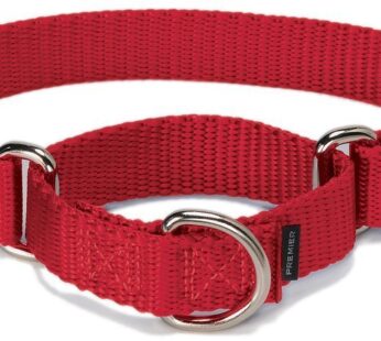 PetSafe Martingale Collar, 3/4″ Medium, Red