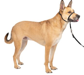 PetSafe Gentle Leader No-Pull Dog Headcollar – The Ultimate Solution to Pulling – Redirect