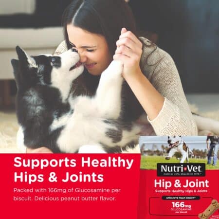 Nutri-Vet Hip & Joint Biscuits for Dogs - Tasty Dog Glucosamine Treat & Dog Joint Suppleme - Image 2