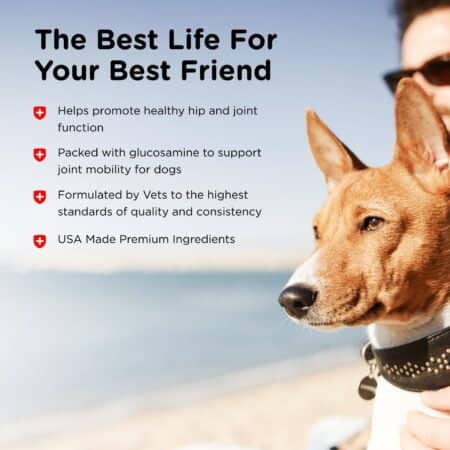 Nutri-Vet Hip & Joint Biscuits for Dogs - Tasty Dog Glucosamine Treat & Dog Joint Suppleme - Image 4