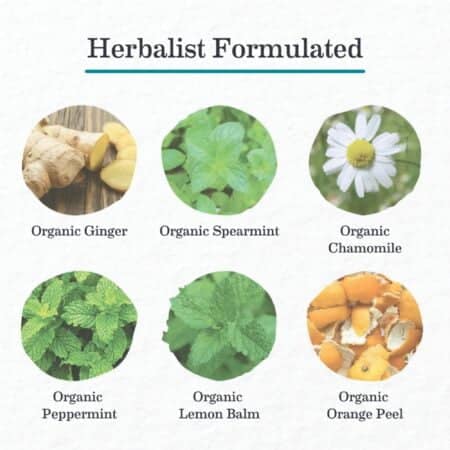Earth Mama Organic Ginger Nausea? Tea | Comforts Occasional Nausea + Morning Sickness, 16 - Image 2