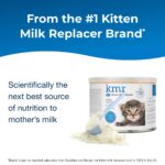 Pet-Ag KMR Kitten Milk Replacer Powder - 6 oz - Powdered Kitten Formula with Prebiotics, P - Image 2