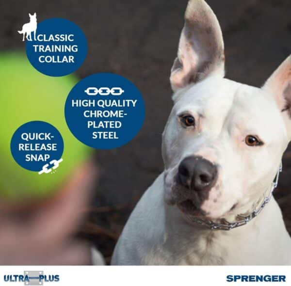 Herm Sprenger Pet Supply Imports Chrome Plated Training Collar with Quick Release Snap for - Image 2