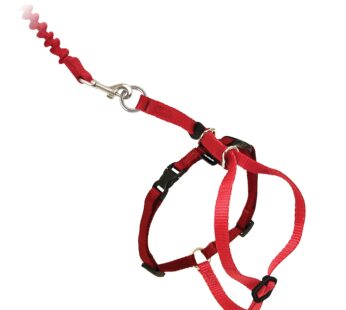 PetSafe Come With Me Kitty Harness and Bungee Leash, Harness for Cats, Large, Red/Cranberr