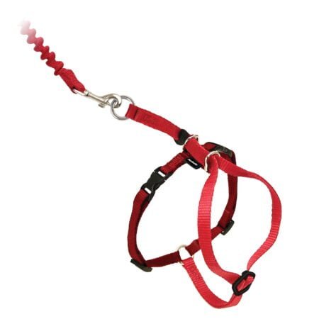 PetSafe Come With Me Kitty Harness and Bungee Leash, Harness for Cats, Large, Red/Cranberr