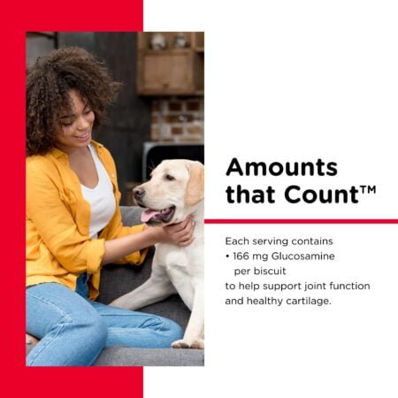 Nutri-Vet Hip & Joint Biscuits for Dogs - Tasty Dog Glucosamine Treat & Dog Joint Suppleme - Image 3