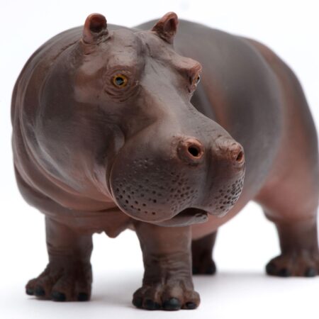 Safari Ltd Wild Safari Wildlife Hippopotamus - Image 2