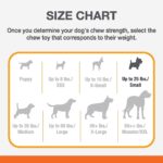 Nylabone Power Chew Flavored Durable Chew Toy for Dogs - Dog Toys for Aggressive Chewers - - Image 5