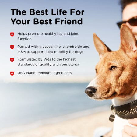 Nutri-Vet Advanced Strength Hip & Joint Chewable Dog Supplements | Formulated with Glucosa - Image 4