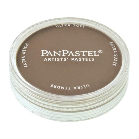 PanPastel 27805 Ultra Soft Artist Pastel, Raw Umber, 780.5