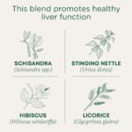 Traditional Medicinals Tea, Organic EveryDay Detox Schisandra Berry, Supports Healthy Live - Image 2