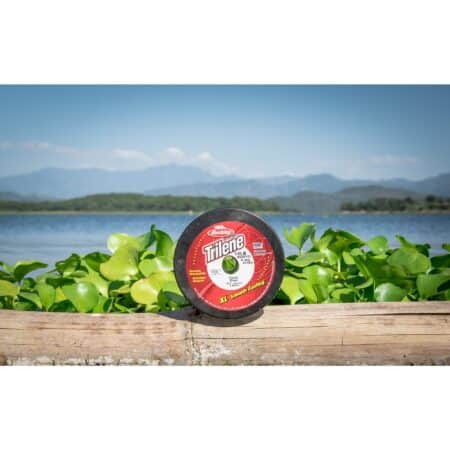 Berkley Trilene? XL?, Clear, 12lb | 5.4kg, 3000yd | 2743m Monofilament Fishing Line, Suita - Image 3