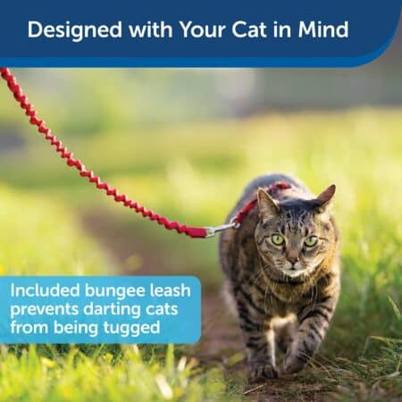 PetSafe Come With Me Kitty Harness and Bungee Leash, Harness for Cats, Large, Red/Cranberr - Image 4