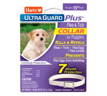 Hartz UltraGuard Plus Water Resistant 7 Month Protection Flea & Tick Collar for Dogs – 15i