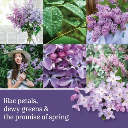 Yankee Candle Lilac Blossoms Scented, 22oz Single Wick Candle, Over 110 Hours of Burn Time - Image 2