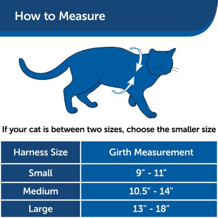 PetSafe Come With Me Kitty Harness and Bungee Leash, Harness for Cats, Large, Red/Cranberr - Image 6