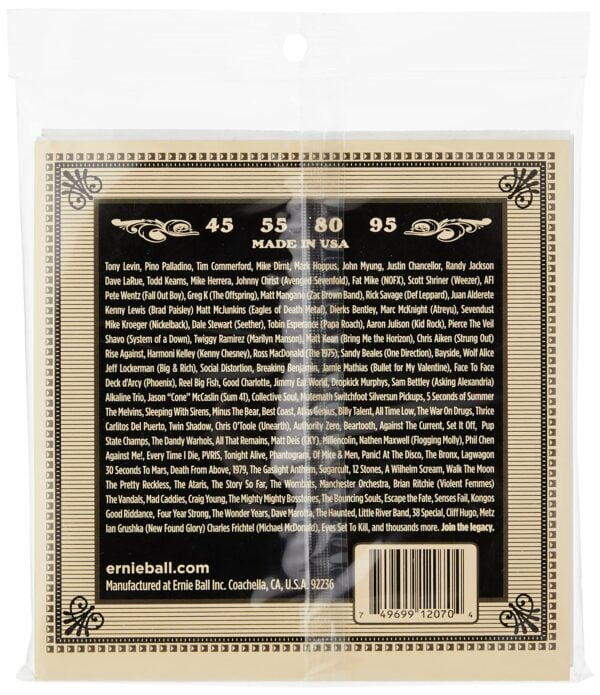 Ernie Ball Earthwood Slinky Phosphor Bronze Acoustic Bass Guitar Strings, 45-95 Gauge (P02 - Image 2