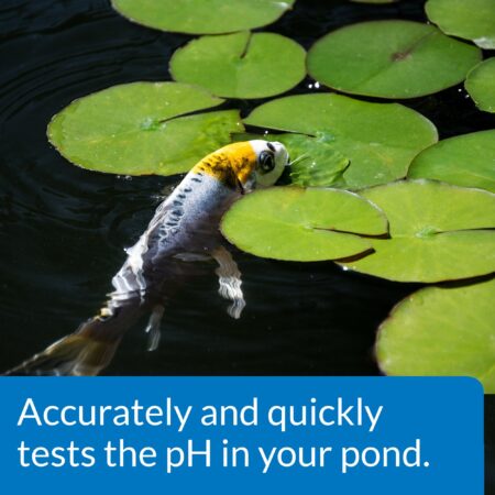 API POND WIDE RANGE pH TEST KIT 160-Test Pond Water Test Kit - Image 3