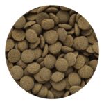 Hikari Tropical Sinking Wafers for Catfish, Loaches and Bottom Feeders 3.88 oz - Image 4