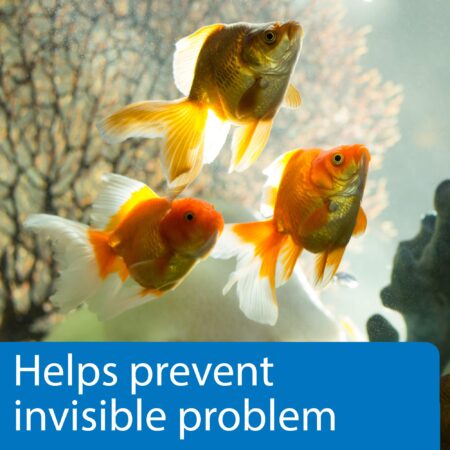 API 5-in-1 Test Strips Freshwater and Saltwater Aquarium Test Strips 25-Count Box - Image 4