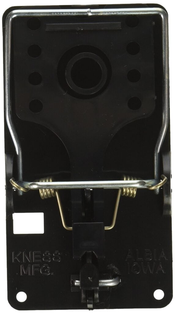 The Original Big Snap-E Mouse Rat Trap, Easy Set, Re-useable, Durable, Easy to Bait, Provi