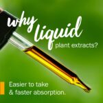 Herb Pharm Mullein Blend 1 oz Liquid - Image 4