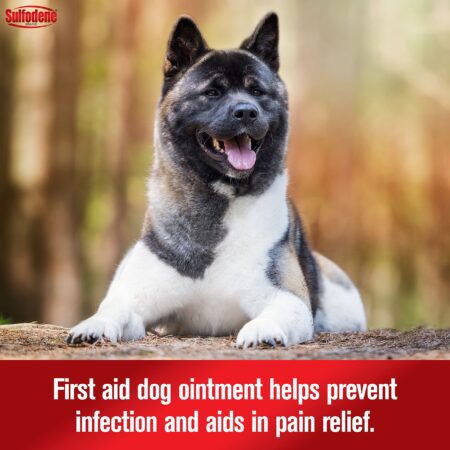 Sulfodene Dog Wound Care Ointment, Relieves Pain & Prevents Infection For Dog Cuts, Scrape - Image 3