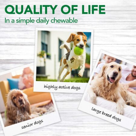 Vet?s Best Aches + Pains Dog Supplement - Vet Formulated for Dog Occasional Discomfort and - Image 3