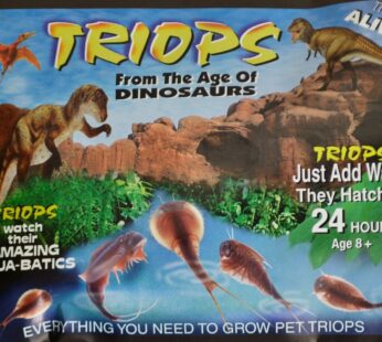 Triops Triassic Triops Eggs and Nutrient