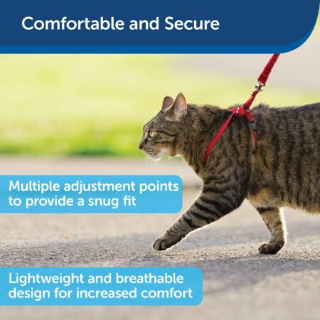 PetSafe Come With Me Kitty Harness and Bungee Leash, Harness for Cats, Large, Red/Cranberr - Image 3