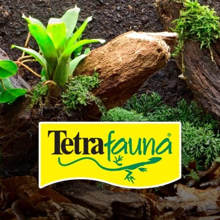 Tetra ReptoMin Floating Food Sticks, Food for Aquatic Turtles, Newts and Frogs, 10.59 oz - Image 9